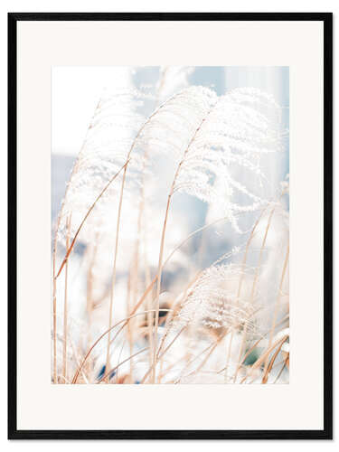 Framed art print Delicate Grasses in the Wind