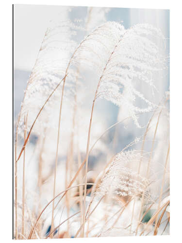 Quadro em plexi-alumínio Delicate Grasses in the Wind