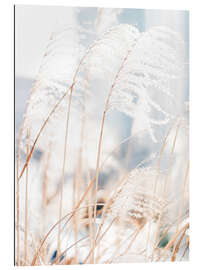 Gallery print Delicate Grasses in the Wind