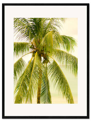 Innrammet kunsttrykk Palm Tree with Coconuts