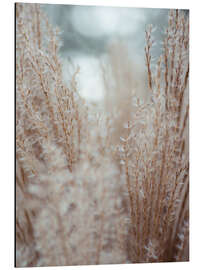 Aluminium print Grasses by the Water