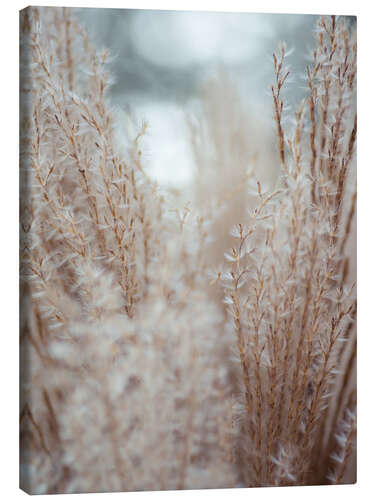 Lærredsbillede Grasses by the water