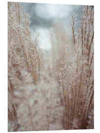 Foam board print Grasses by the Water