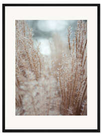 Gerahmter Kunstdruck Gräser am Wasser