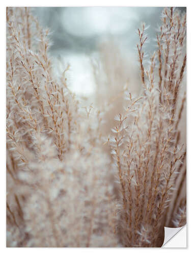 Selvklebende plakat Grasses by the water