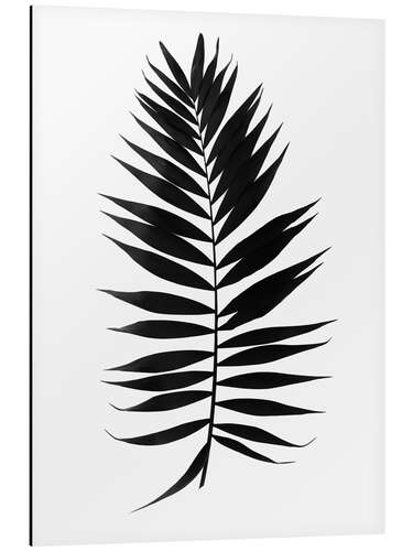 Aluminium print Palm leaf black