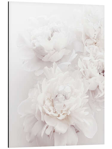 Aluminium print peonies