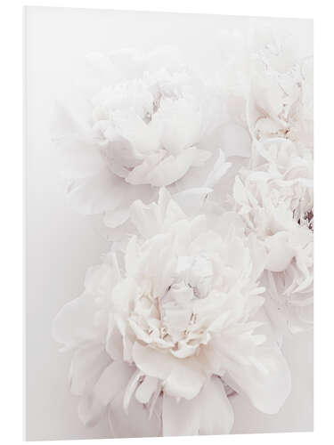 Foam board print Peonies