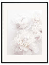 Gerahmter Kunstdruck Pfingstrosen