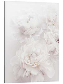 Magnettafel Pfingstrosen