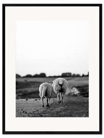 Impresión de arte enmarcada Two Sheep on a Journey