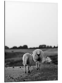 Magnettafel Zwei Schafe auf Reisen