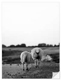 Naklejka na ścianę Two Sheep on a Journey