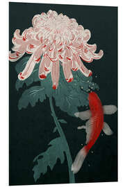 Foam board print Koi and Chrysanthemum