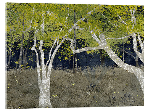 Obraz na szkle akrylowym Fireflies in the forest