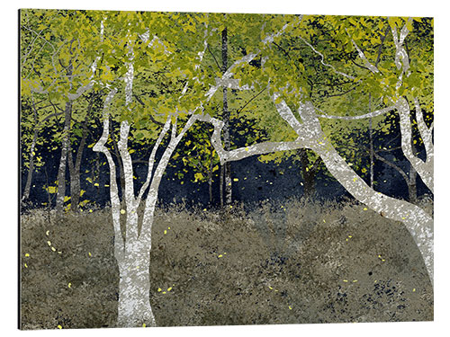 Obraz na aluminium Fireflies in the forest
