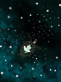 Magnettafel Von Schildkröten träumen