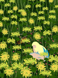 Magnettafel Auf Chrysanthemen schlafen