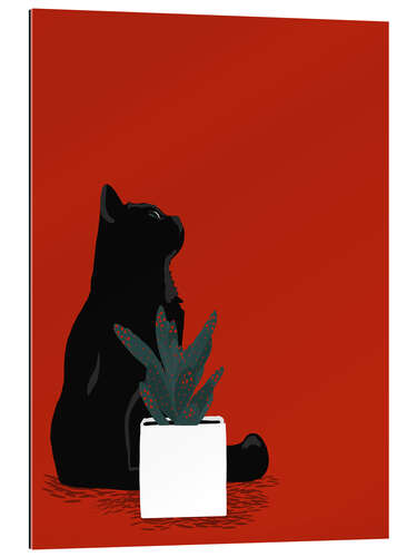 Gallery print Black Cat and red spotted Cactus