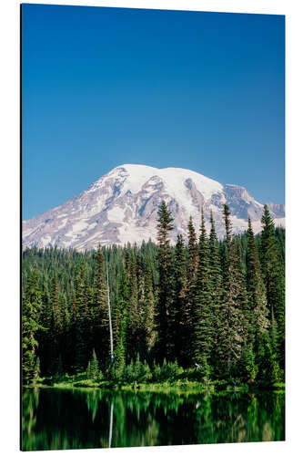 Stampa su alluminio Mount Rainier National Park, Washington, USA