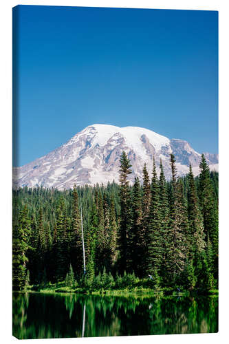 Leinwandbild Mount Rainier National Park, Washington, USA