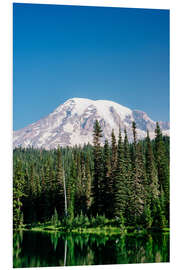 Foam board print Mount Rainier National Park, Washington, USA