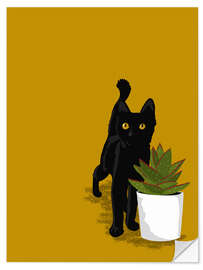 Naklejka na ścianę Black Kitten and Succulent