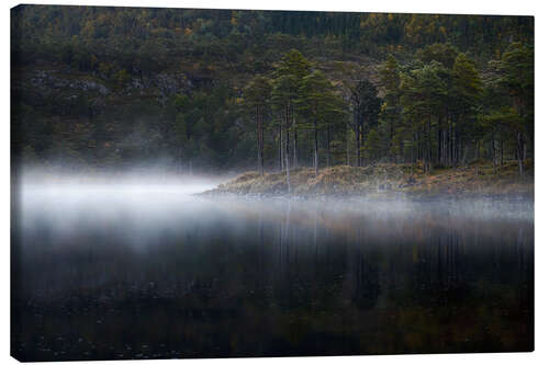 Canvas print Morning Mist at the Lake