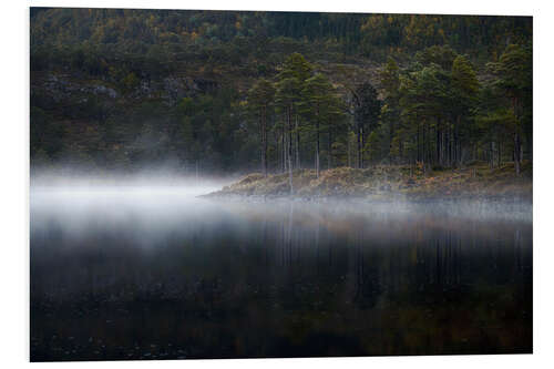 Tableau en PVC Morning Mist at the Lake