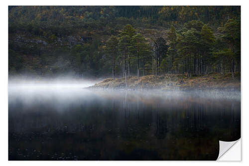 Selvklebende plakat Morning Mist at the Lake