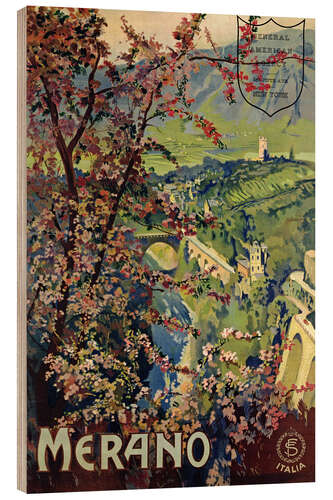 Trätavla Poster of Merano, 1926