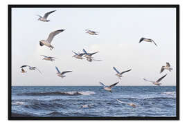 Gerahmter Kunstdruck Möwen über der Ostsee