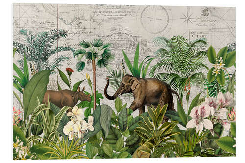 Foam board print Wildlife in the tropics