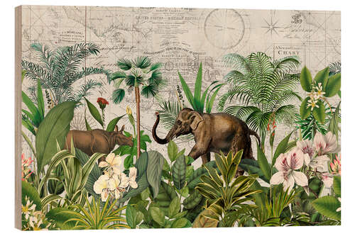 Quadro de madeira Wildlife in the tropics