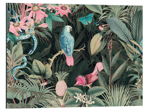 Aluminium print Parrot and snake in the jungle