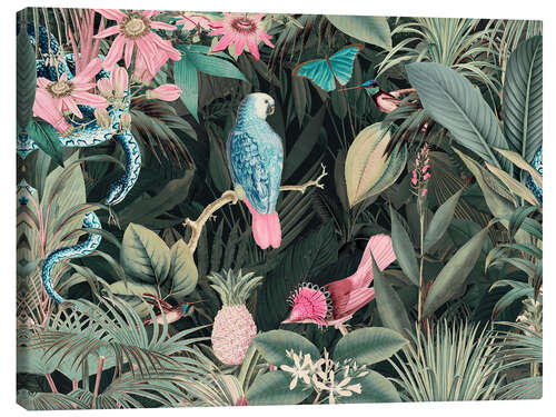 Canvas print Parrot and snake in the jungle