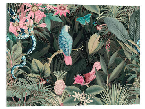 Foam board print Parrot and snake in the jungle