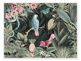 Poster Papagei und Schlange im Dschungel