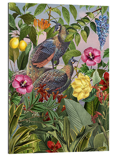 Gallery print Peafowl Kingdom