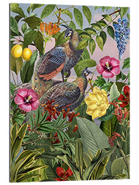 Tableau en plexi-alu Peafowl Kingdom