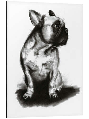 Aluminium print Woof - French Bulldog Portrait