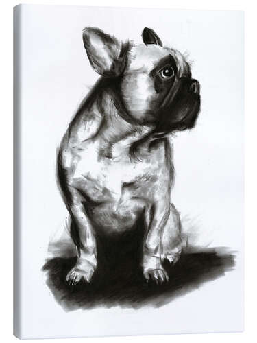 Obraz na płótnie Woof - French Bulldog Portrait