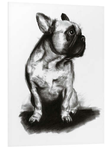 Foam board print Woof - French Bulldog Portrait