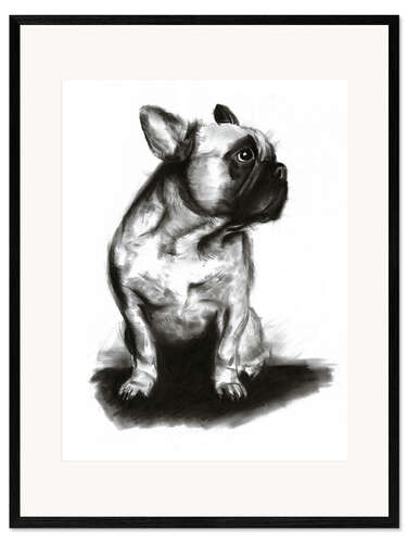 Kehystetty taidepainatus Woof - French Bulldog Portrait