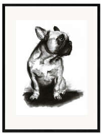 Ingelijste kunstdruk Woof - French Bulldog Portrait