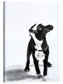 Canvas print Doggystyle - French Bulldog