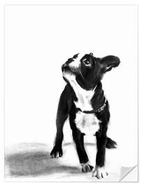 Selvklebende plakat Doggystyle - French Bulldog