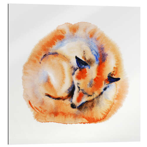 Gallery print Sleeping Fox