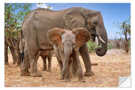 Sticker mural Elephant Herd in South Africa