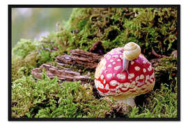 Gerahmter Kunstdruck Schnecke auf einem Glückspilz